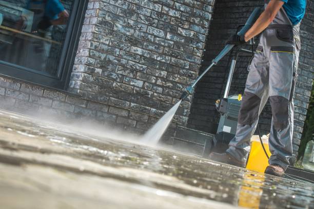 Best Gutter Cleaning  in Port Isabel, TX